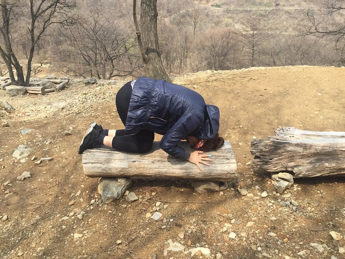 IMG_2428.JPG?type=w1200