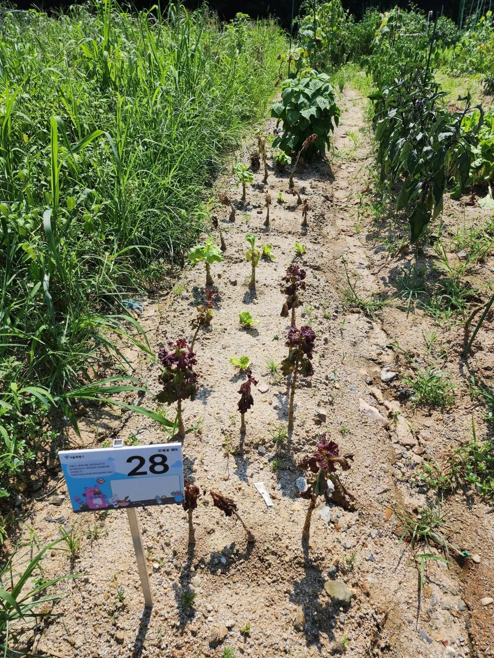 20250725_135643.jpg?type=w966