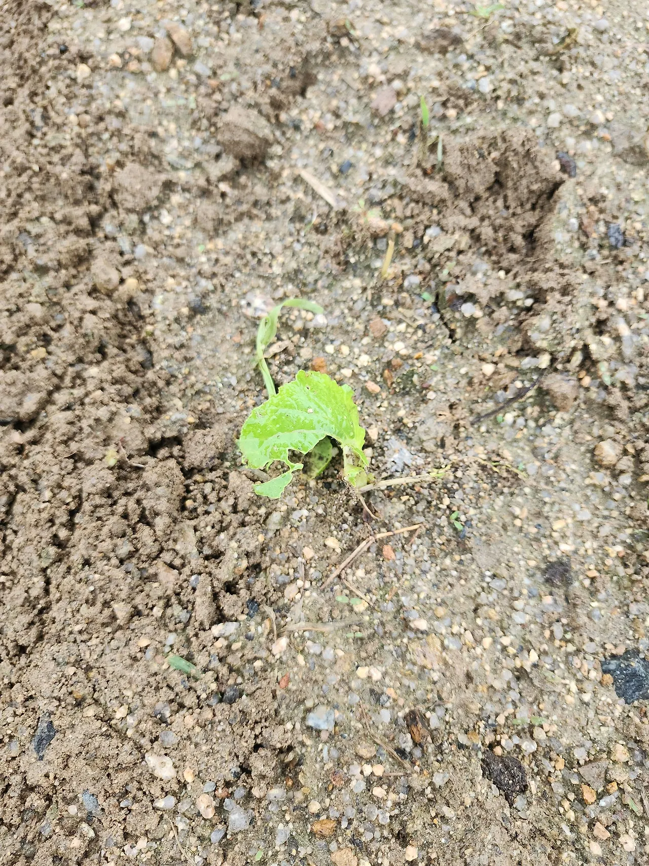 20250906_091202.jpg?type=w3840