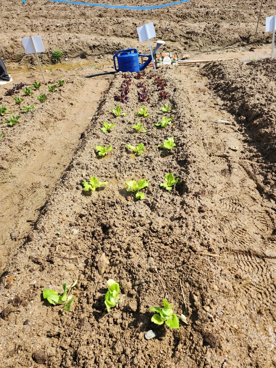 20250420_102607.jpg?type=w966