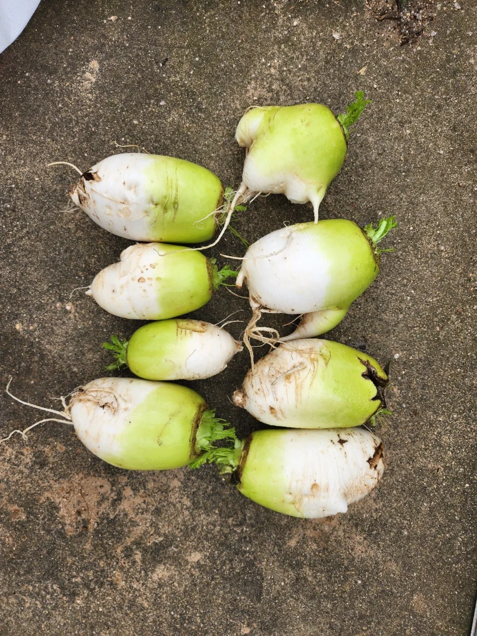 20251018_101248.jpg?type=w966