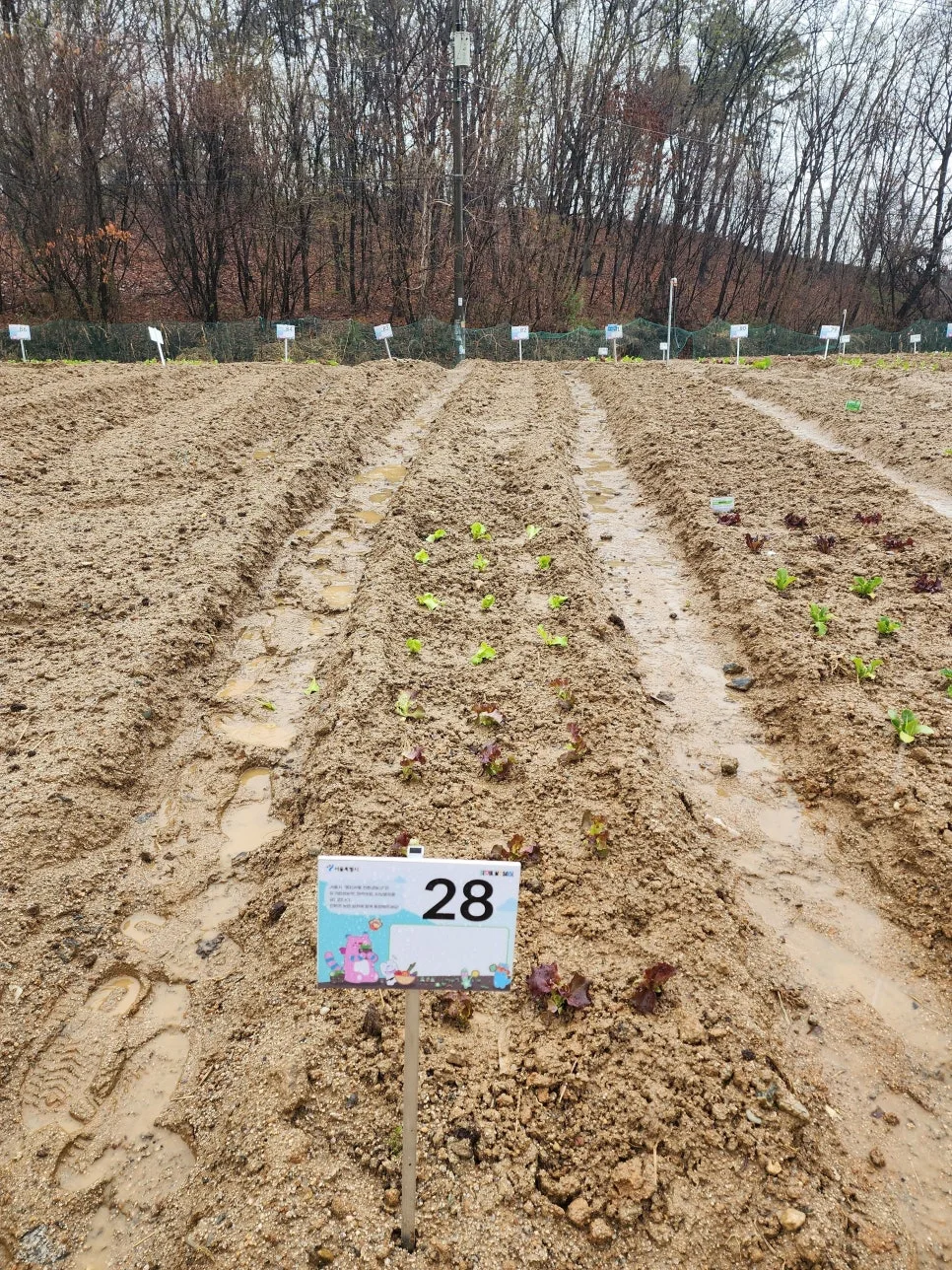 20250414_111054.jpg?type=w966