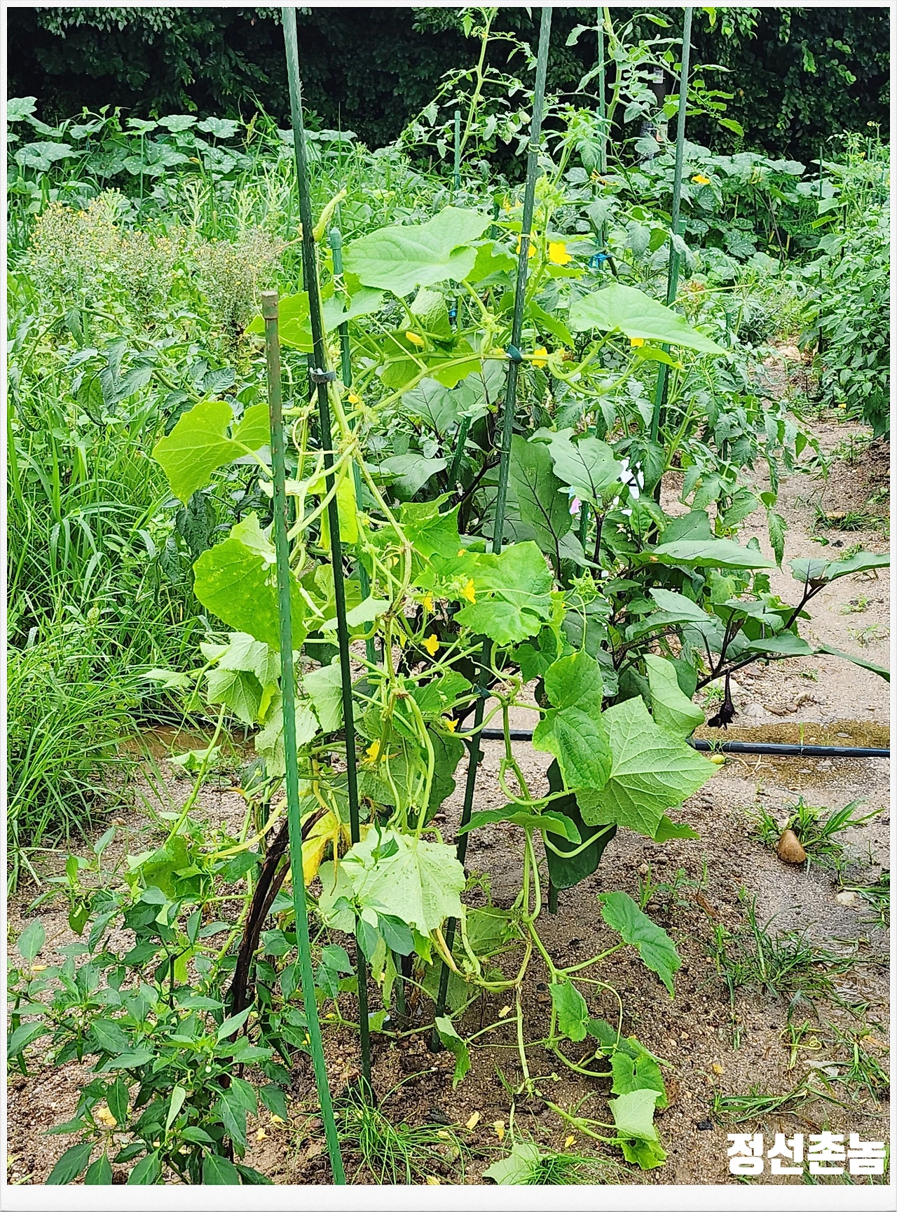 SE-bd7578db-13a6-48c7-9e40-aa9cd9ca3347.jpg?type=w3840