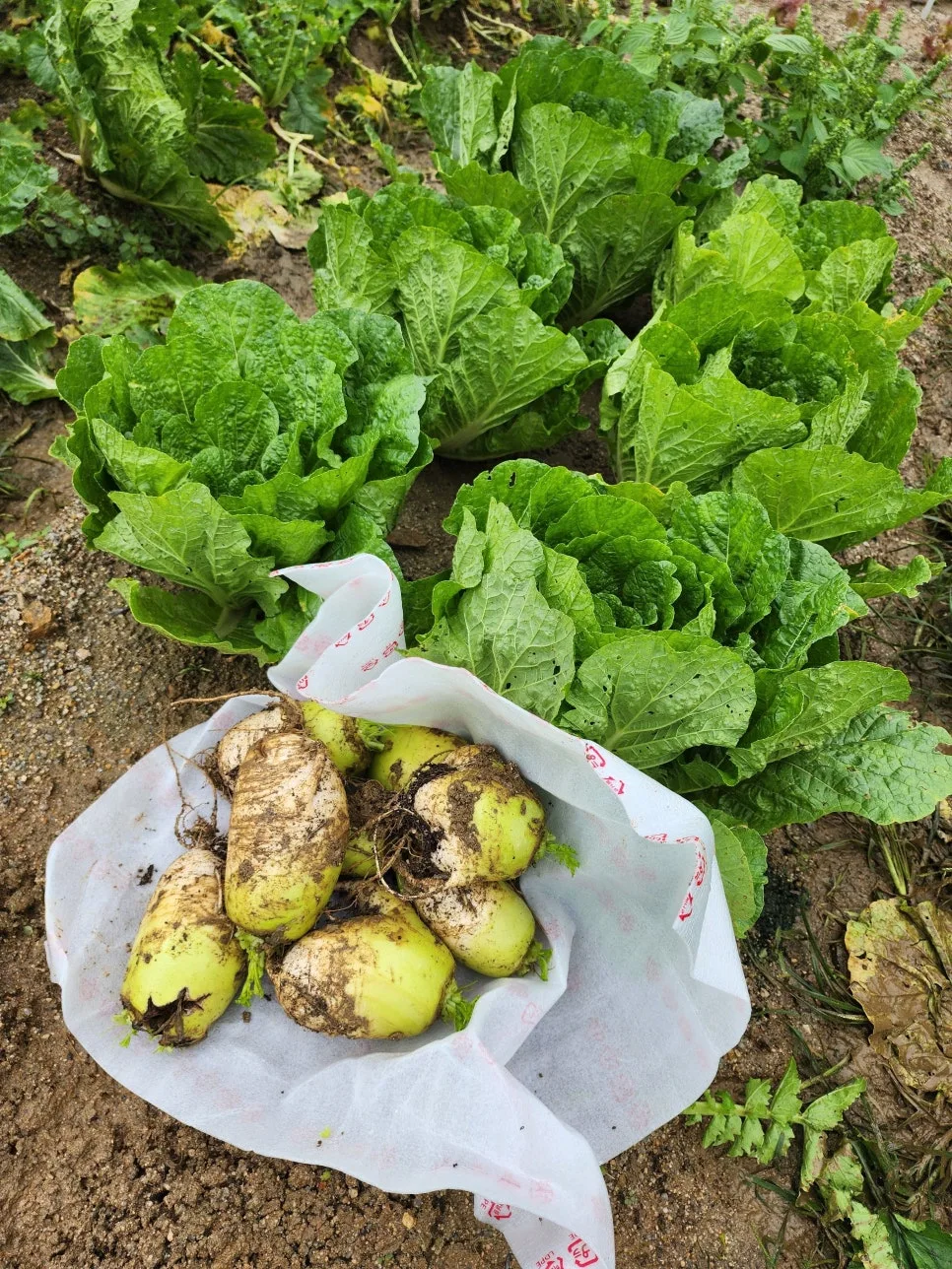 20251018_100838.jpg?type=w966