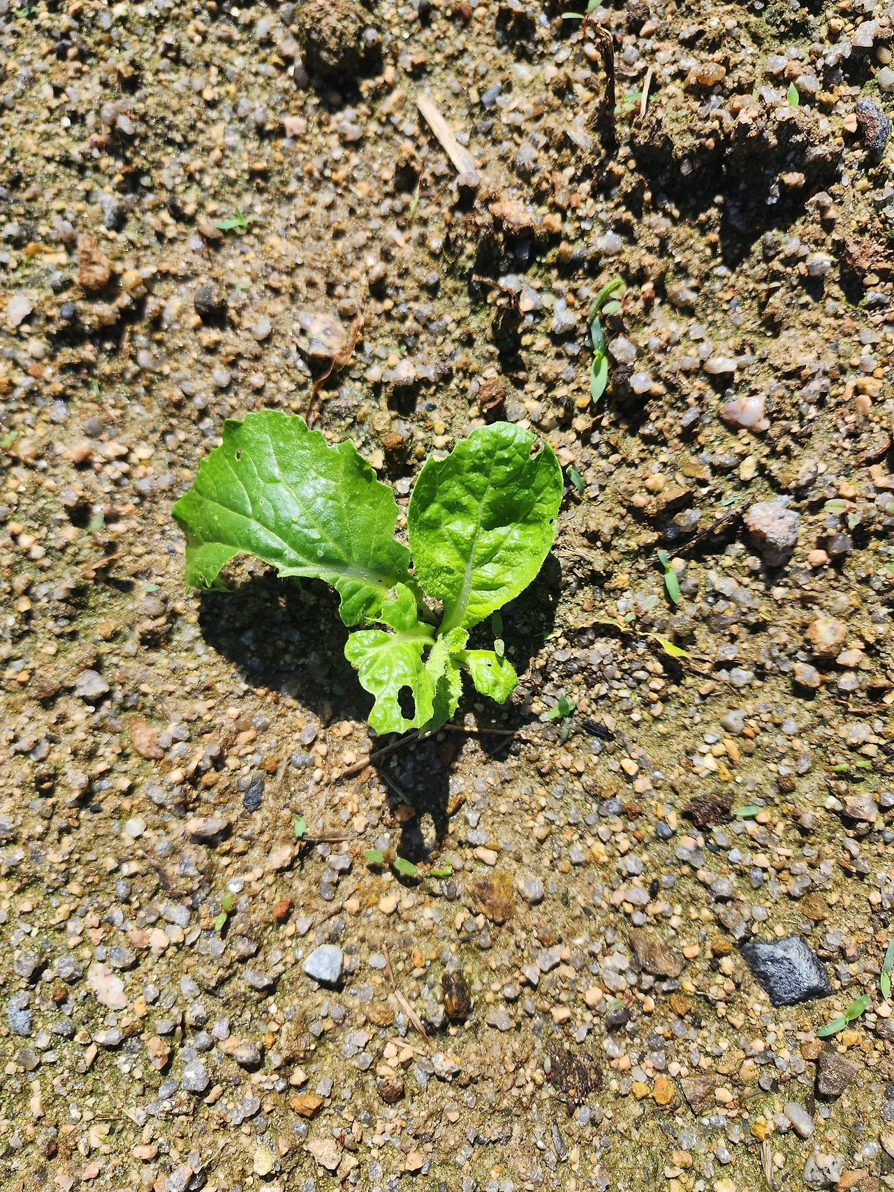 20250910_102836.jpg?type=w3840