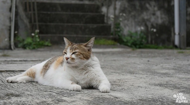 220BA13E593CE5BE124DB1