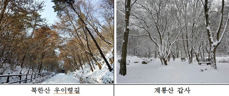 217EB4355890F32205DC2A