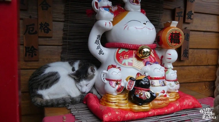 237BF43E593CE5BE21CEB4