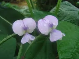 다운로드 (5).jpeg