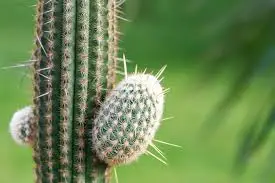 다운로드 (2).jpeg