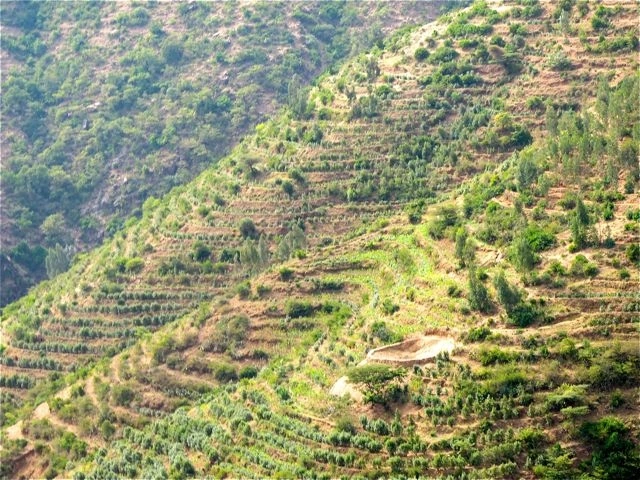 hillside-terraces-en-rout-to-harar.jpeg