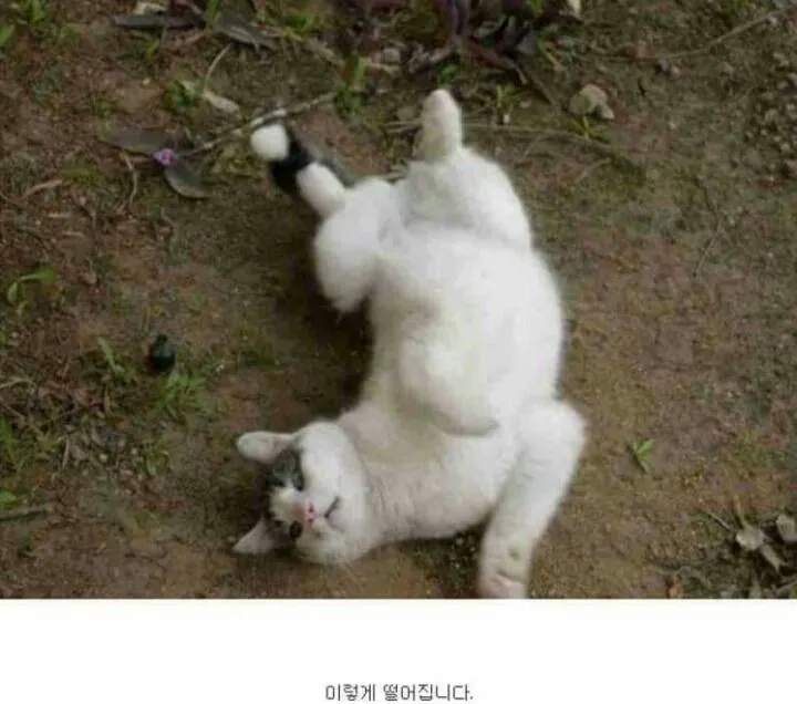 6e72988ce6b2934b.orig