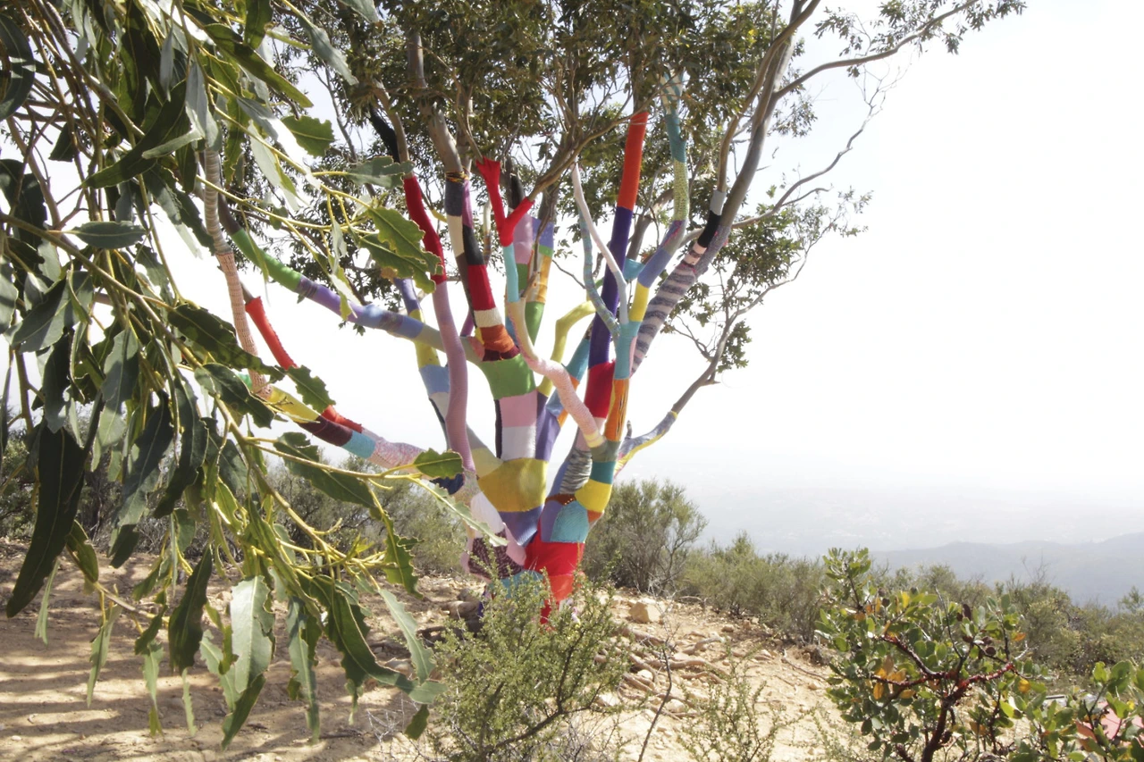 img_0980.jpg?w=1400&amp;h=