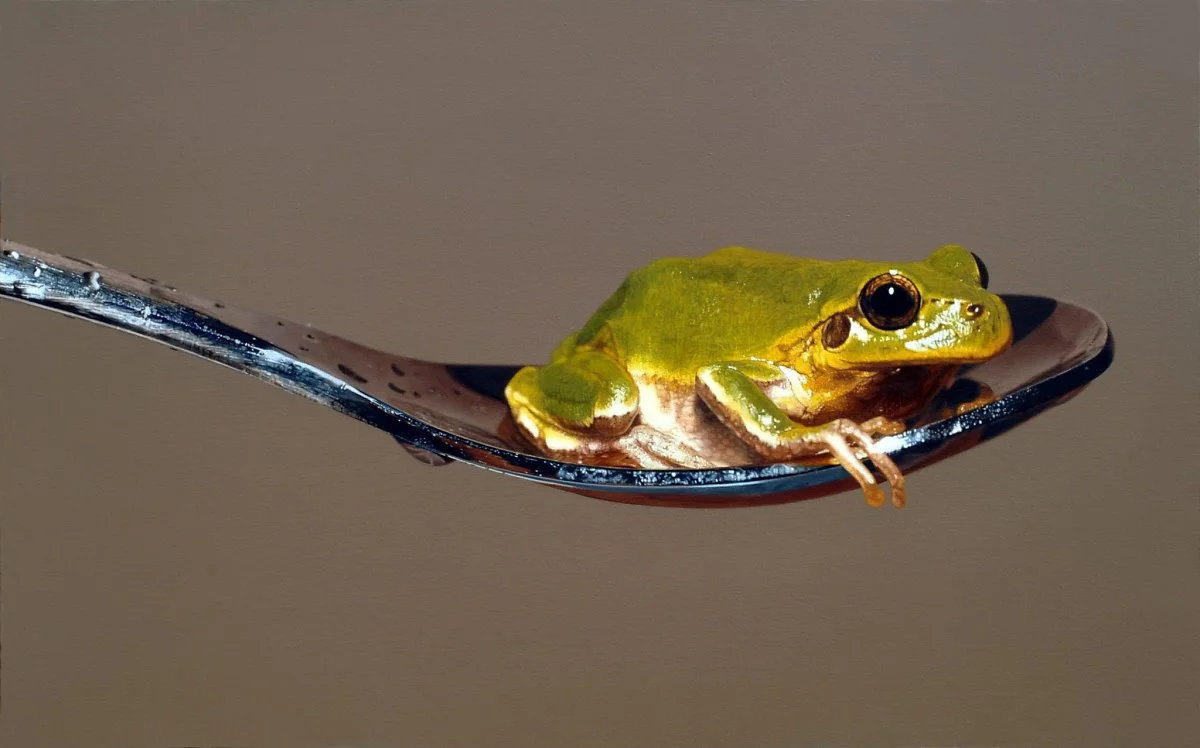 11045401_458070177689080_3682578240722061623_o.jpg?type=w1200