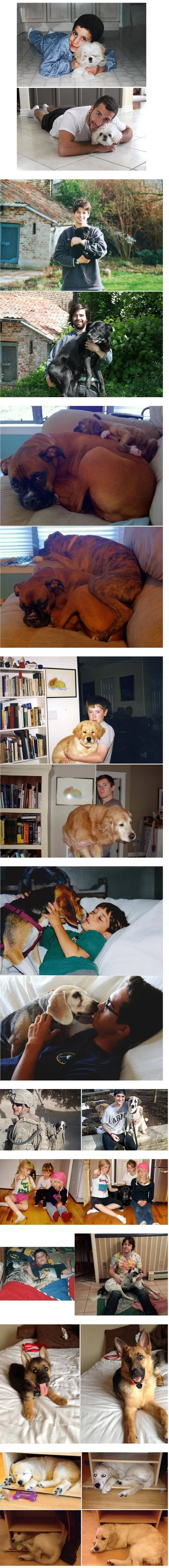 74b80e1e785a56ab.orig