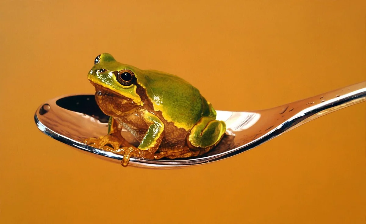 11174634_458070657689032_461107730946619003_o.jpg?type=w1200