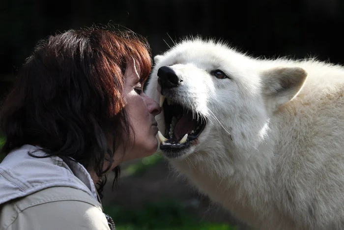 2665F54853571D810CF9C7