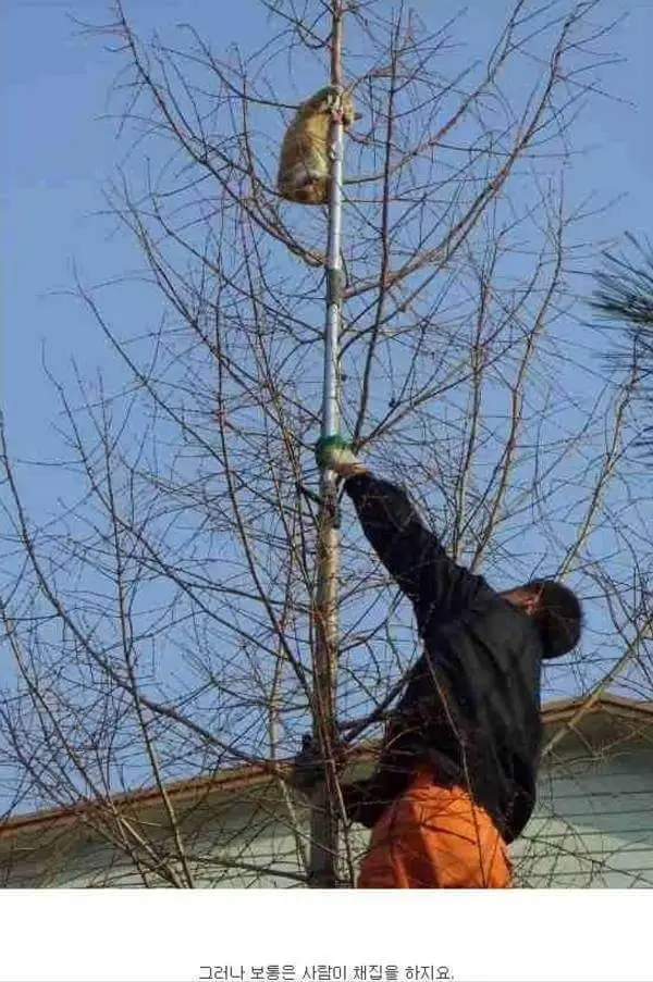 e7924d5594e9a4a6.orig