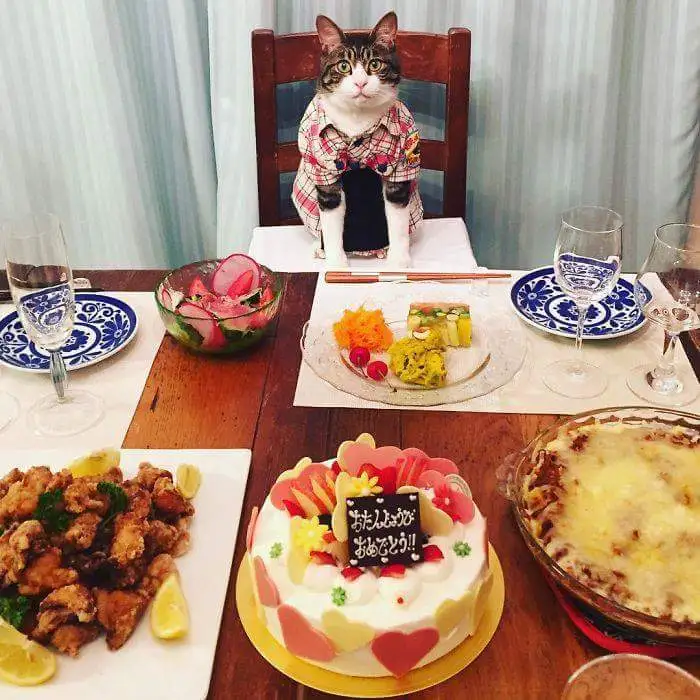 923c5738847af197.orig