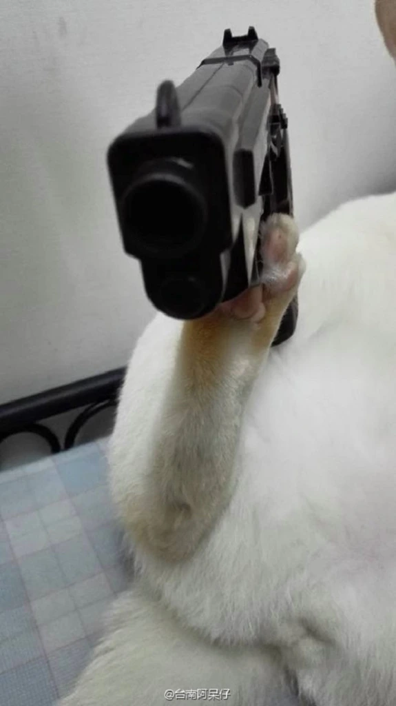 91.jpg?w=575&amp;h=1024