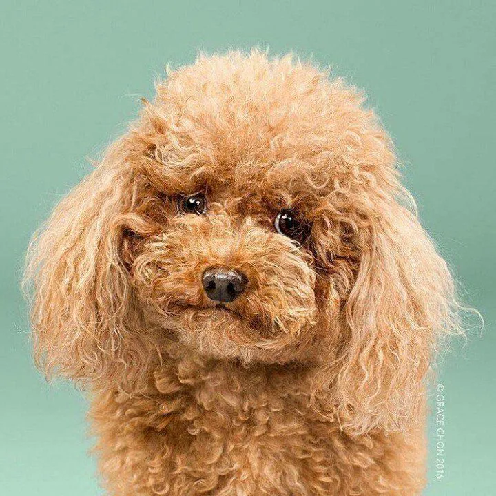 996466974b5aa9b1.orig