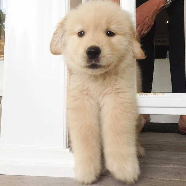 ed323275dacca505.orig