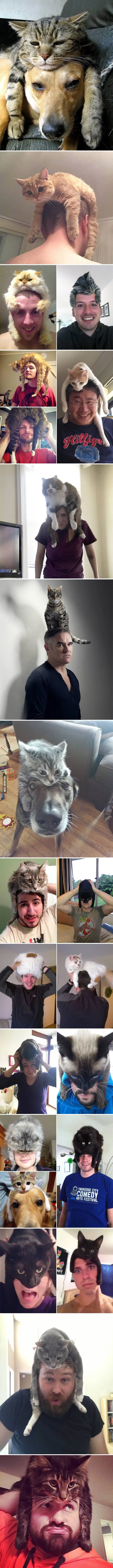 8c9ba1e37749d819.orig