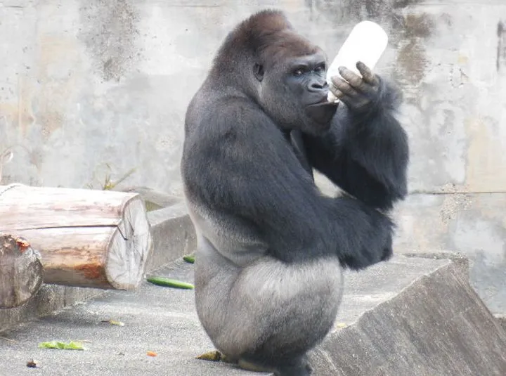 4168451997eb4fc8bc37aee7b255c02e