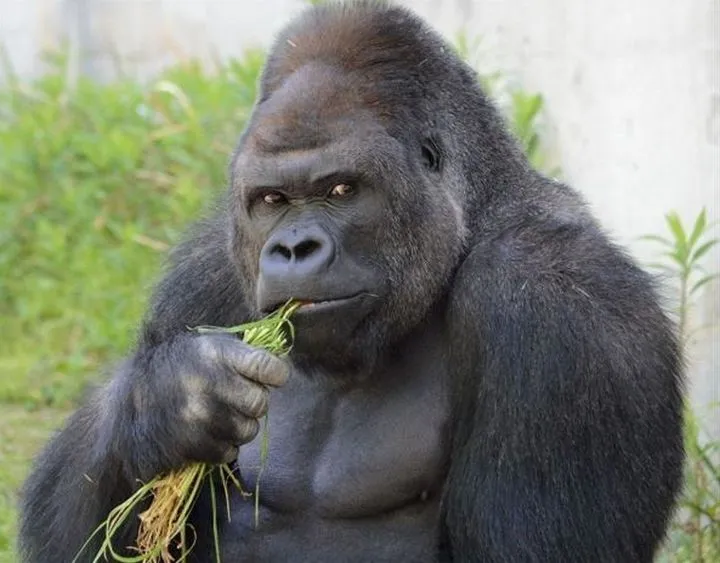 c343b191719a429fb3e1a669ecf9bd3e