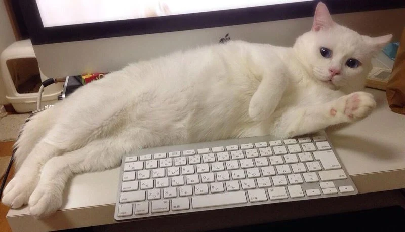 setsu-chan-13.jpg?w=800&amp;h=458