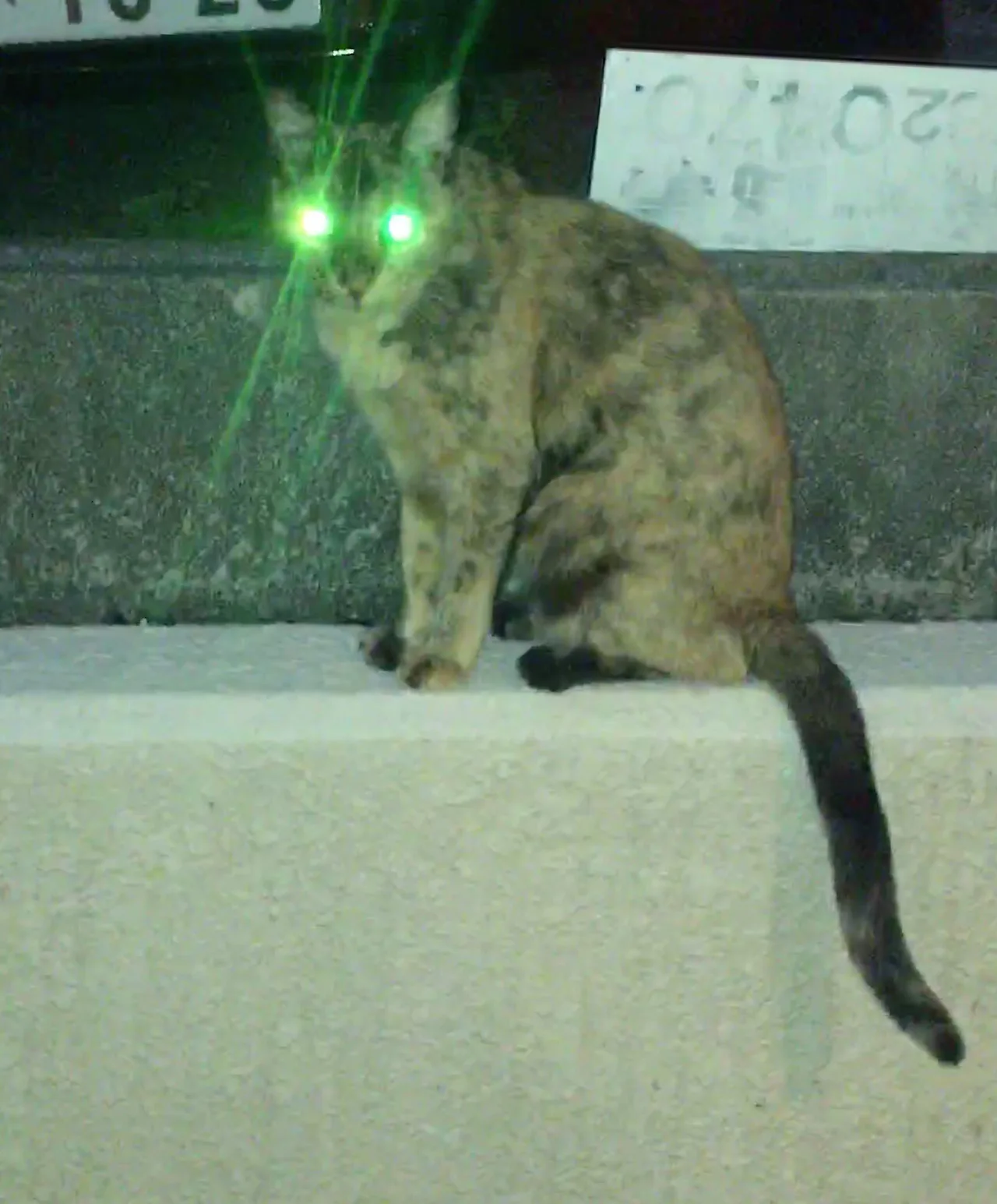 27684cef1f548d.jpg?w=780&amp;h=30000&amp;gif=true