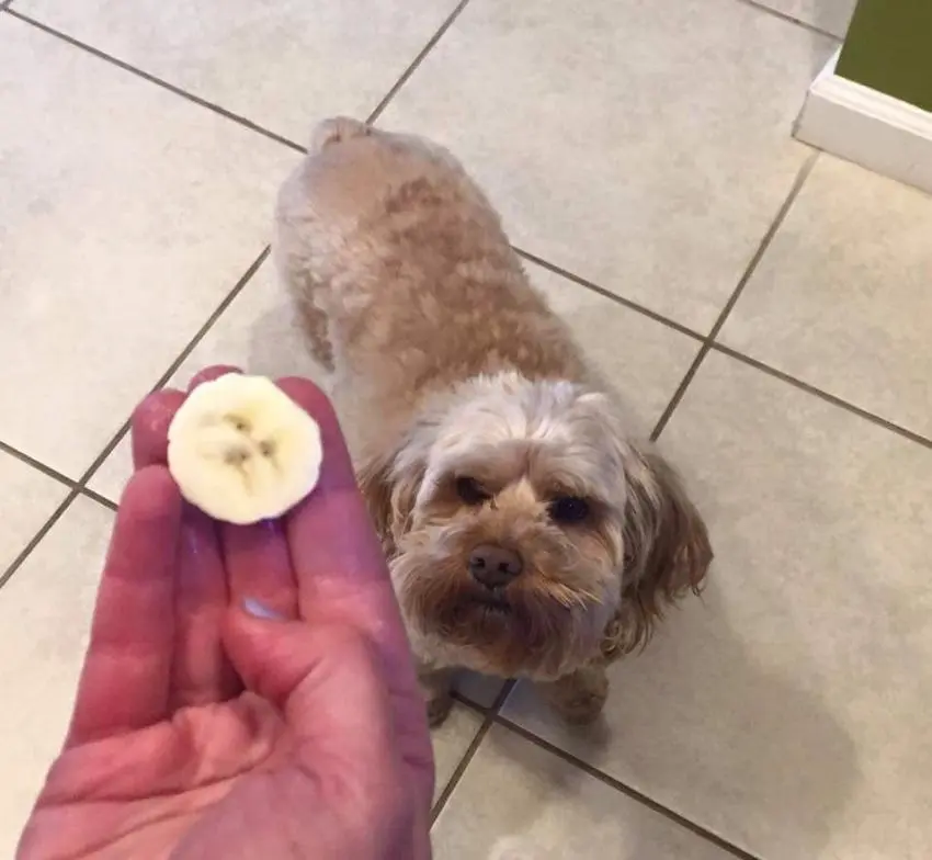 65f10f37c55b1c05.orig