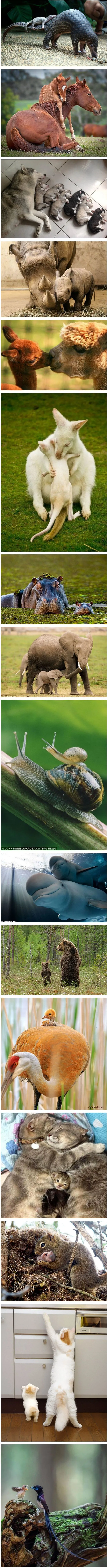 1fa5d4a5668be852.orig