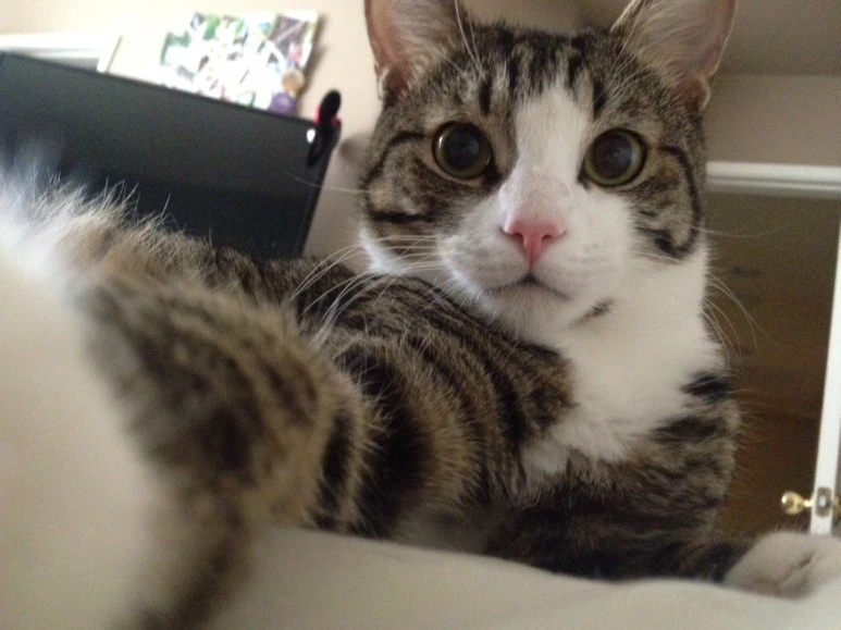 H9Rdoas.jpg?type=w773