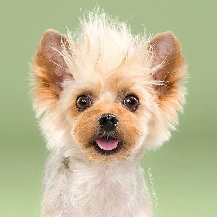 ce643709d6f3491c.orig