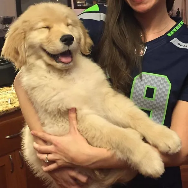 7ab6ac905de4720b.orig