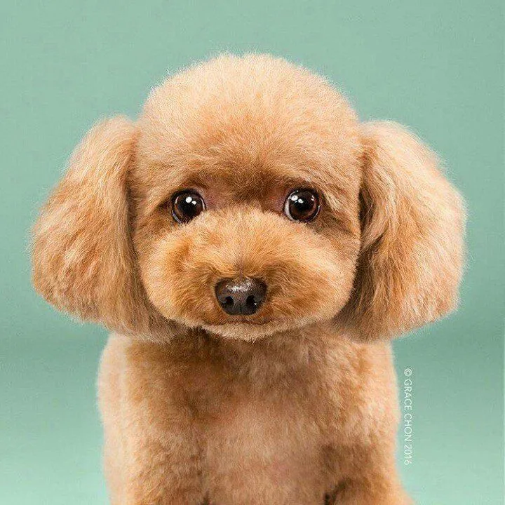 ad7467965b24c13c.orig