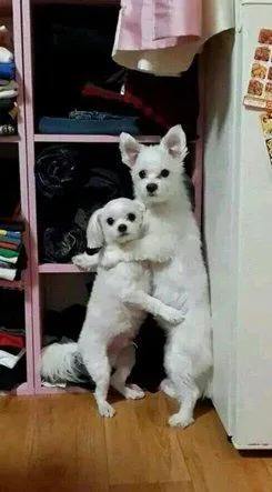 b3c90446ccb4ef4e.orig