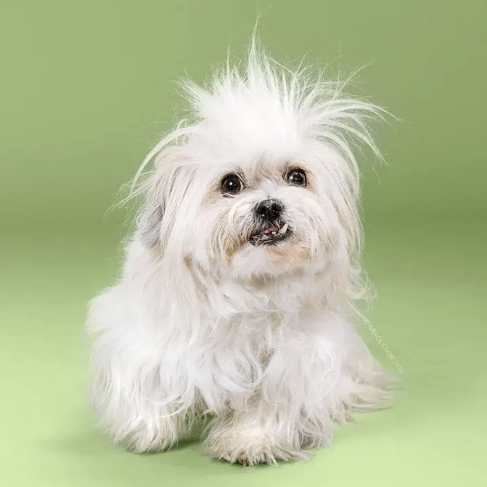 3ccccc3332f3ce0c.orig