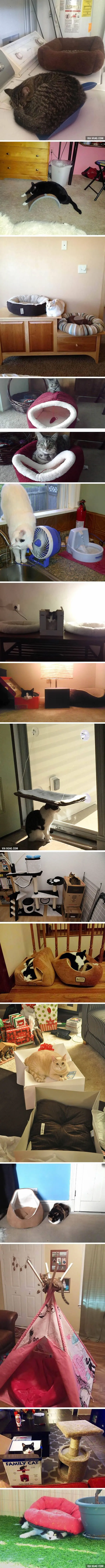 380fa3241ee3cf1b.orig