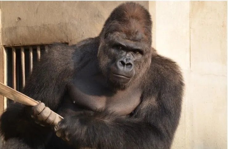 cdf09cc07e4991b5.orig