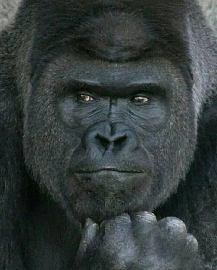 a110a3bb54fd2e2b.orig