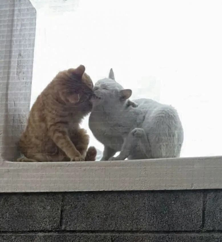 71f8cc873a79e1c0.orig