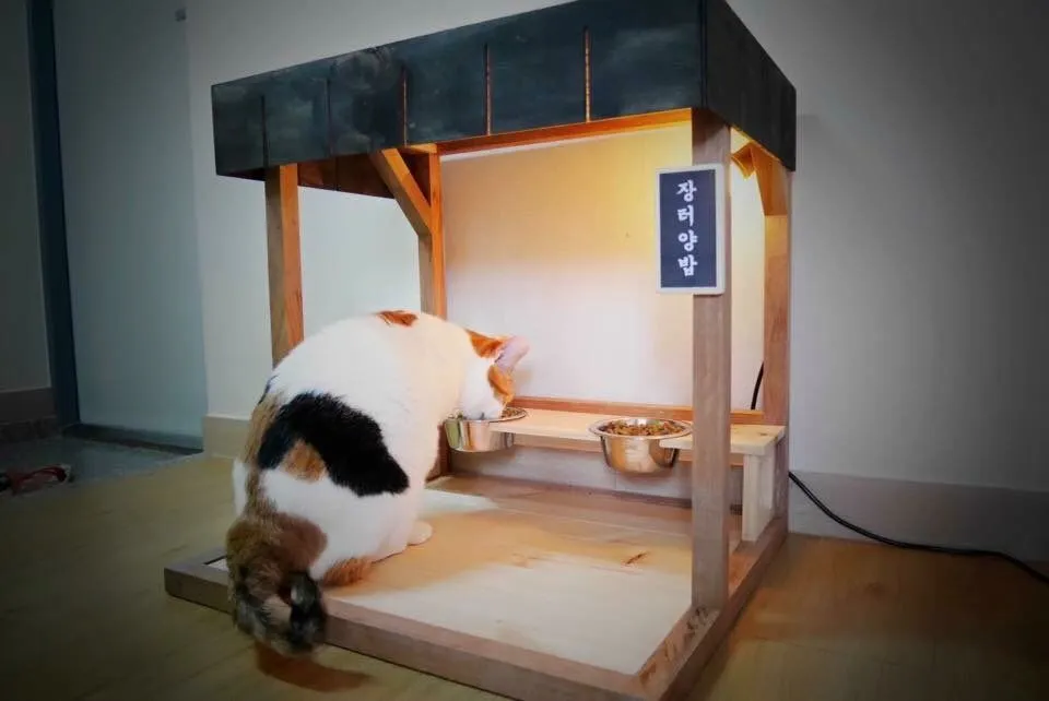 eae8fb9652f34bcd9c4.JPG?w=780&amp;h=30000&amp;gif=true