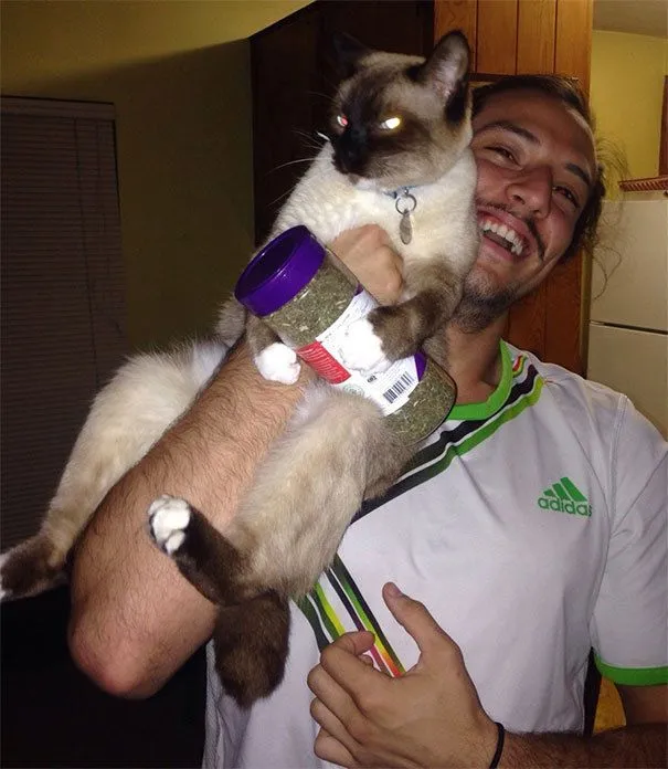 cdc03ce65913366b.orig