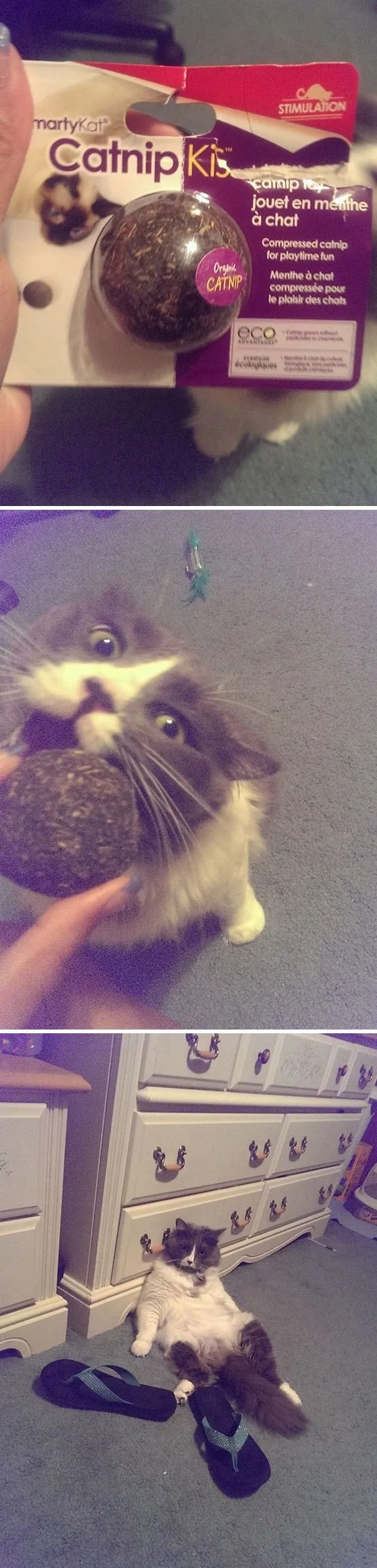 666ea639a035d9c3.orig