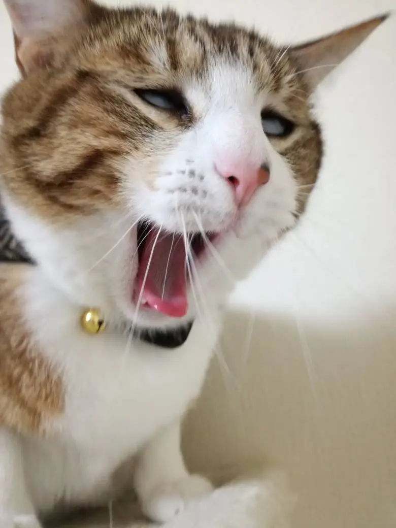 44449cb19687fd6e.orig