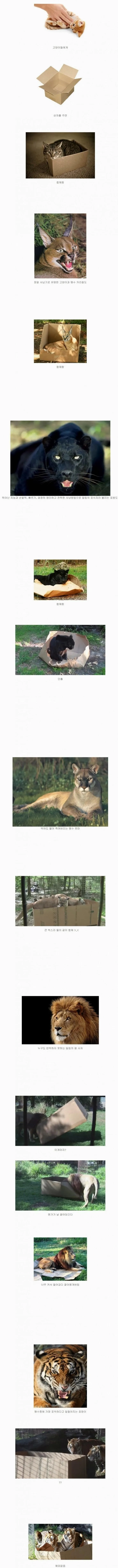 ace12d3cb11651e7.orig