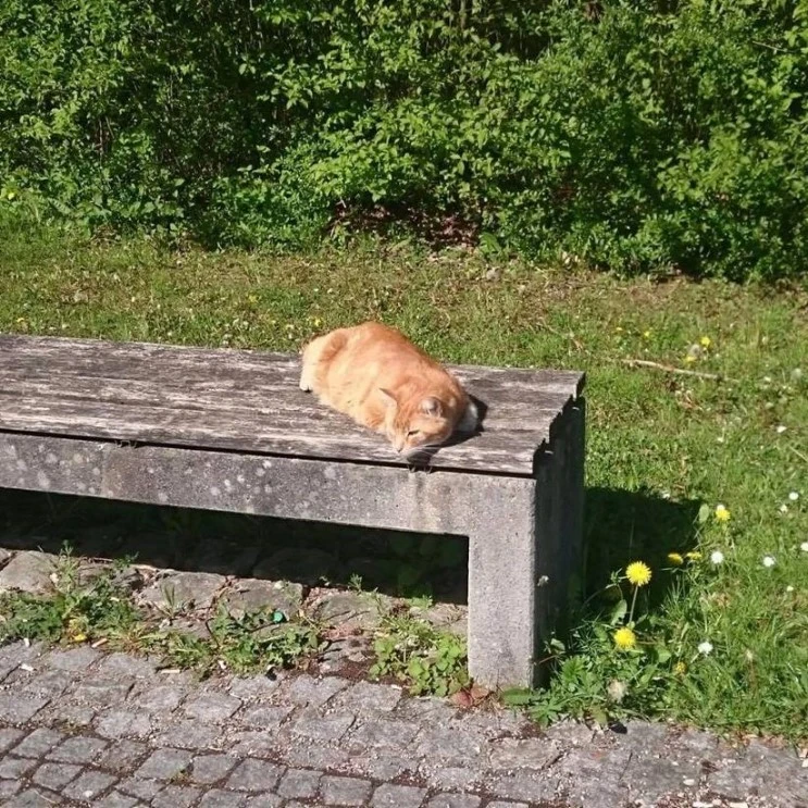 13263674_1098814780177028_4557271851619882989_n.jpg?type=w2