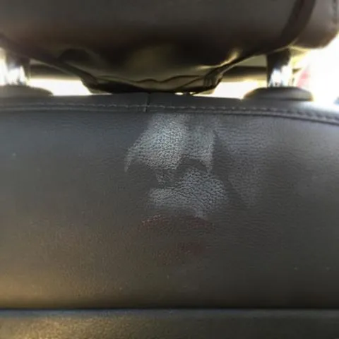 15876932_577672602434740_3487774586953531392_n.jpg?ig_cache_key=MTQyNDI5NTQxNzUzNzA1ODI3Nw%3D%3D.2